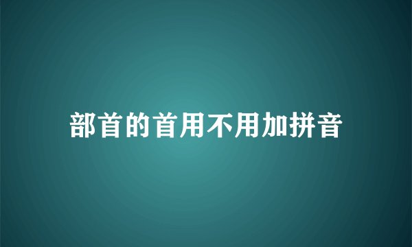 部首的首用不用加拼音