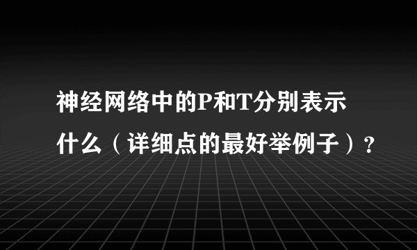神经网络中的P和T分别表示什么（详细点的最好举例子）？