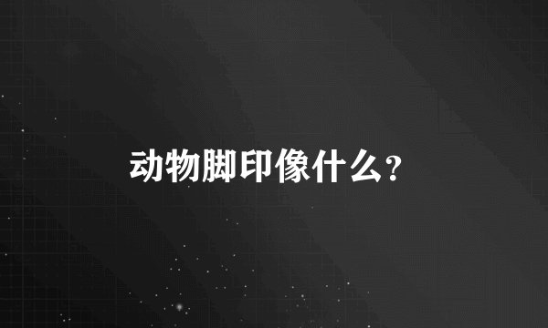 动物脚印像什么？