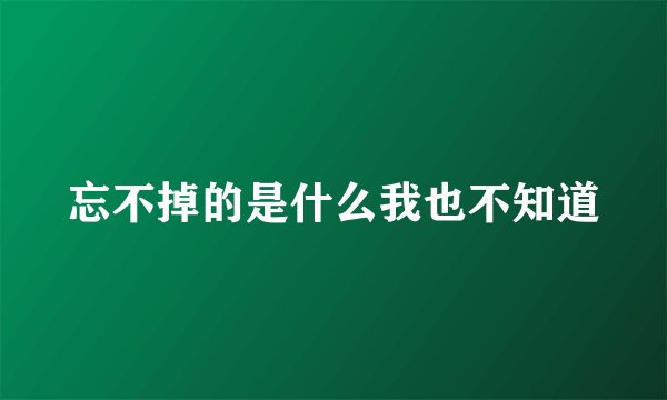 忘不掉的是什么我也不知道