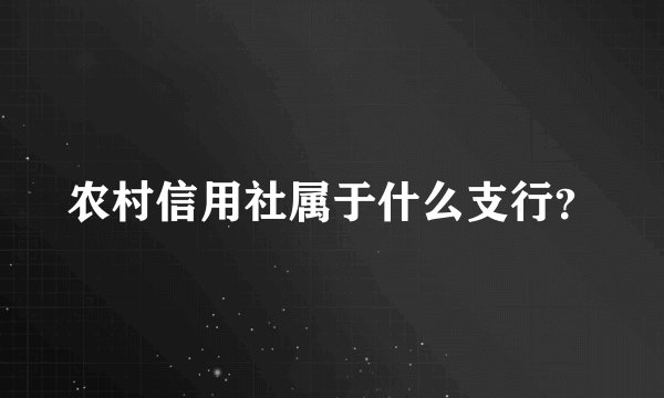 农村信用社属于什么支行？
