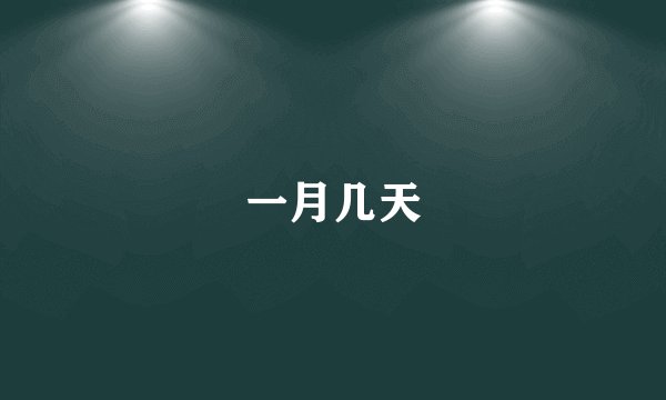 一月几天