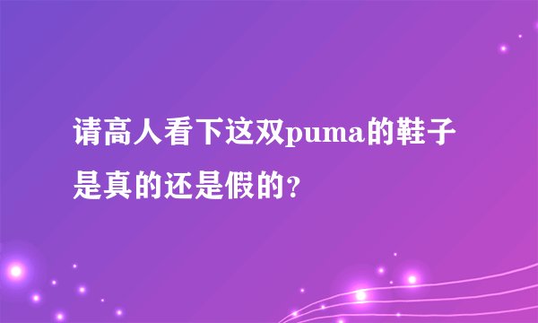 请高人看下这双puma的鞋子是真的还是假的？