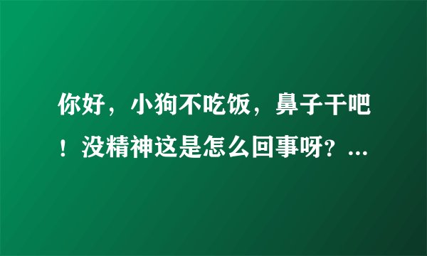 你好,小狗不吃饭,鼻子干吧!没精神这是怎么回事呀?喝完水就开始吐