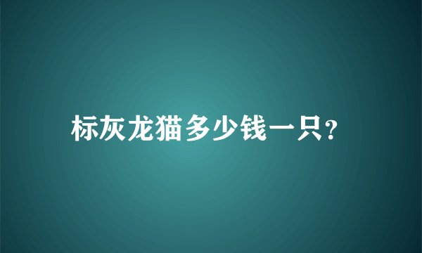 标灰龙猫多少钱一只？