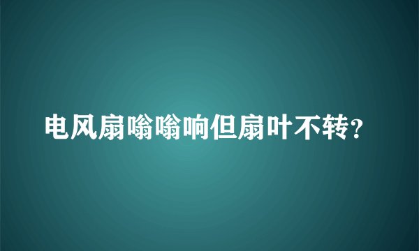 电风扇嗡嗡响但扇叶不转?
