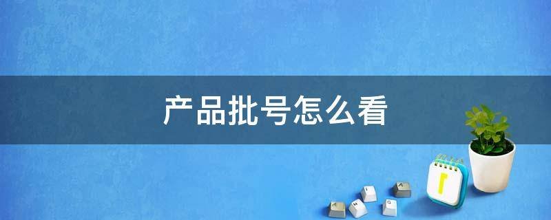 产品批号怎么看
