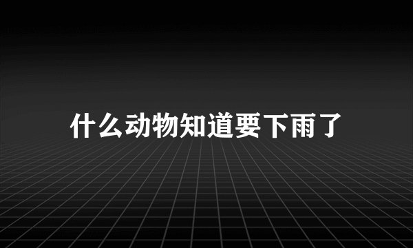 什么动物知道要下雨了