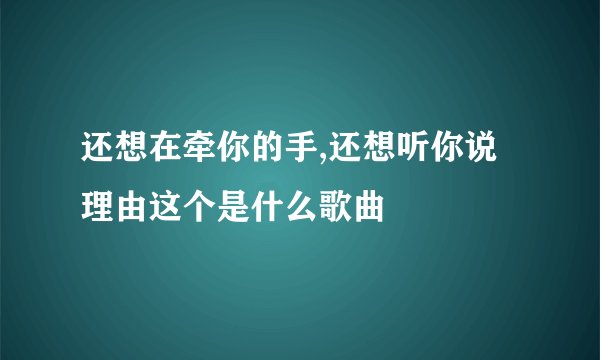 还想在牵你的手,还想听你说理由这个是什么歌曲