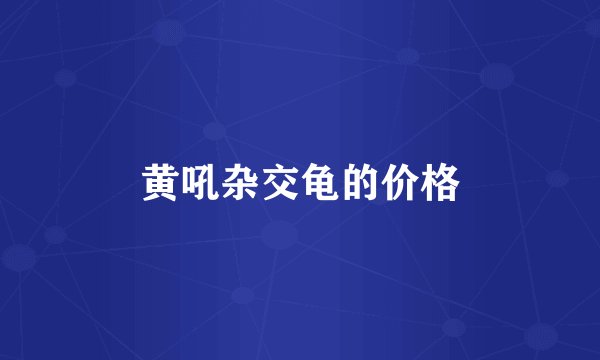 黄吼杂交龟的价格
