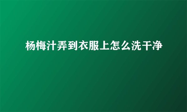 杨梅汁弄到衣服上怎么洗干净