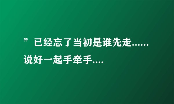 ”已经忘了当初是谁先走......说好一起手牵手......”的歌