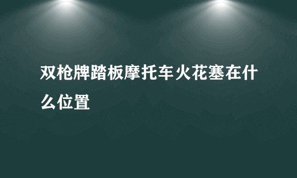 双枪牌踏板摩托车火花塞在什么位置