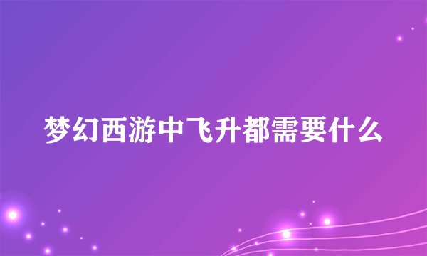 梦幻西游中飞升都需要什么
