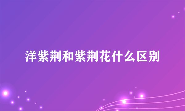 洋紫荆和紫荆花什么区别
