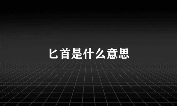 匕首是什么意思