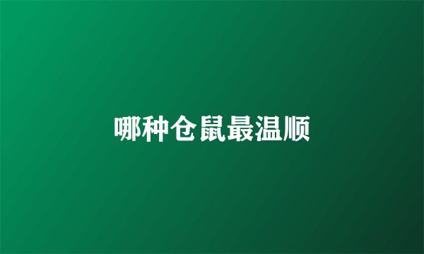 哪种仓鼠最温顺