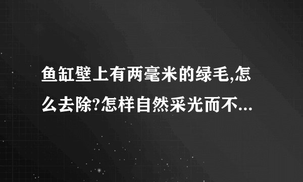 鱼缸壁上有两毫米的绿毛,怎么去除?怎样自然采光而不长这个?