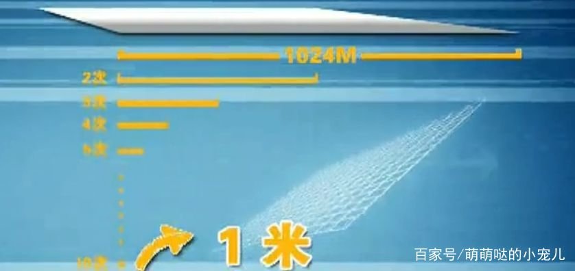 一张纸最多能对折多少次?有什么道理?