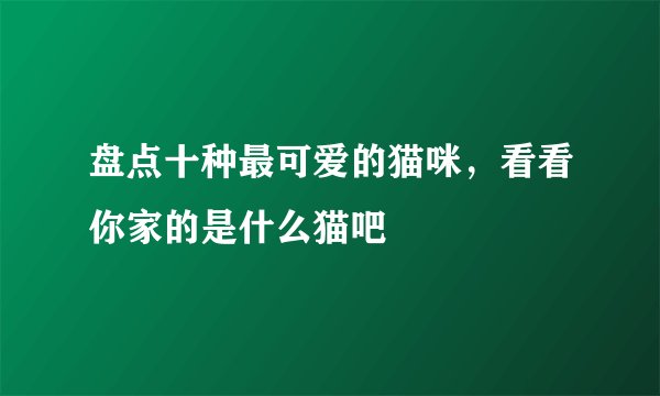 盘点十种最可爱的猫咪，看看你家的是什么猫吧