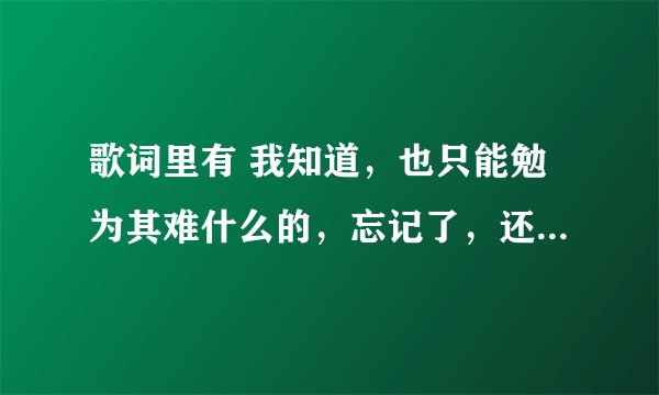 歌词里有 我知道，也只能勉为其难什么的，忘记了，还记得歌词里有:牛鼻什么的，谁能告诉我歌名是