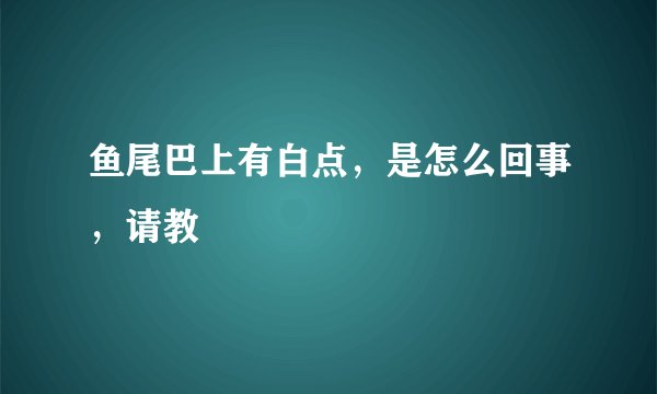 鱼尾巴上有白点，是怎么回事，请教