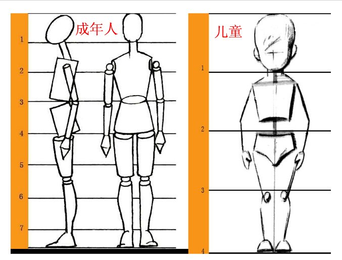 身高163cm的女孩，标准的腿长应该是多少？