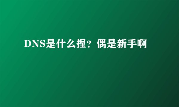 DNS是什么捏？偶是新手啊