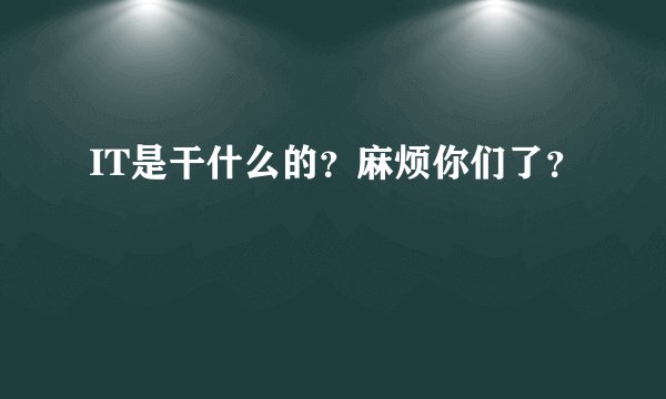 IT是干什么的？麻烦你们了？