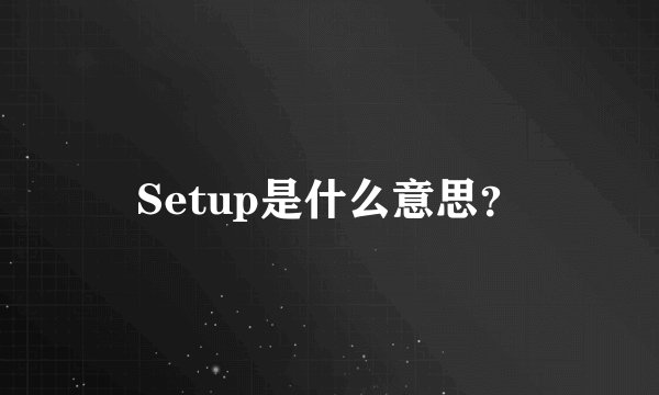 Setup是什么意思？