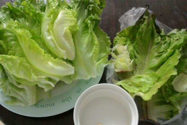 择菜的意思是什么