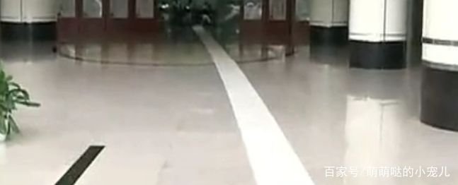 一张纸最多能对折多少次?有什么道理?