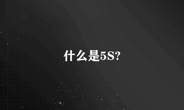 什么是5S?