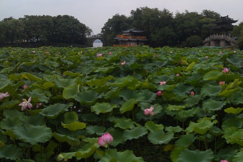 西湖一日游最佳路线图