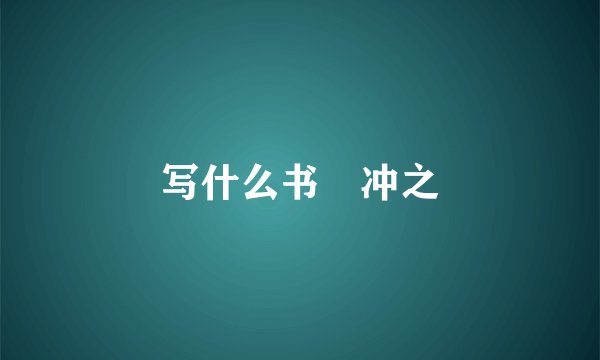 写什么书袓冲之