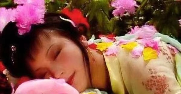 红楼梦经典故事5个