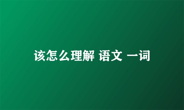 该怎么理解 语文 一词