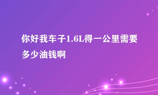 你好我车子1.6L得一公里需要多少油钱啊