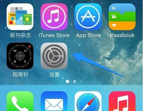 苹果手机 运营商在哪里设置？