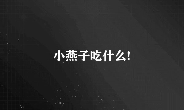 小燕子吃什么!