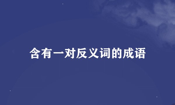 含有一对反义词的成语