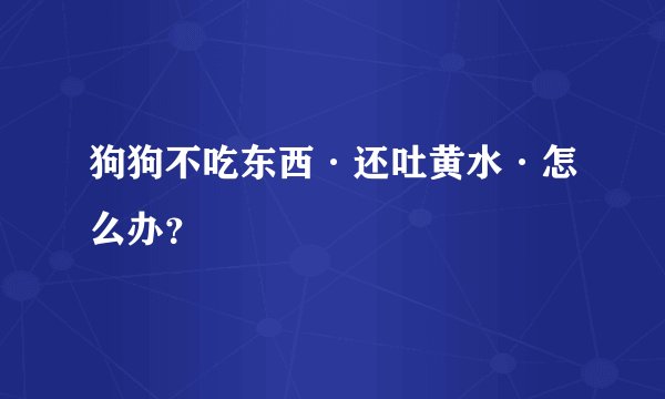 狗狗不吃东西·还吐黄水·怎么办?