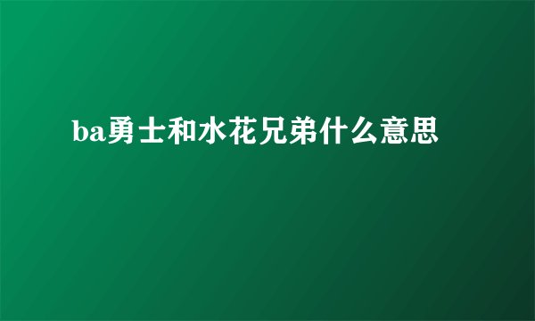 ba勇士和水花兄弟什么意思