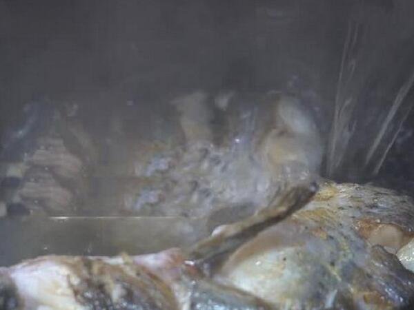 清炖清江鱼怎么做