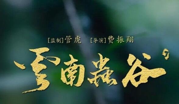 鬼吹灯电视剧哪几部最好看