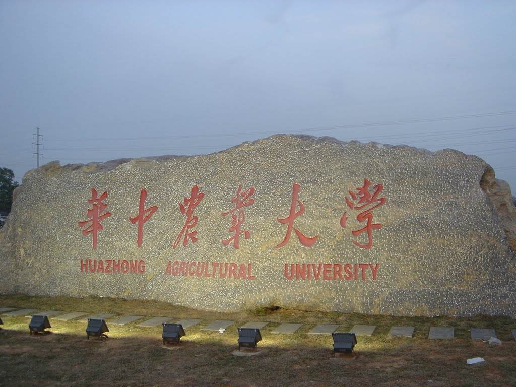 华中农业大学多大