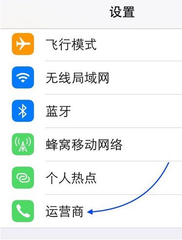 苹果手机 运营商在哪里设置？