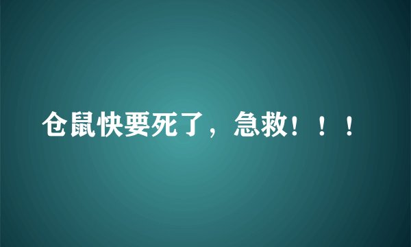 仓鼠快要死了，急救！！！