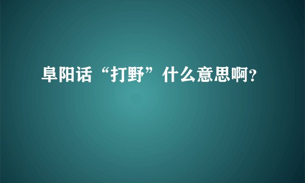 阜阳话“打野”什么意思啊？