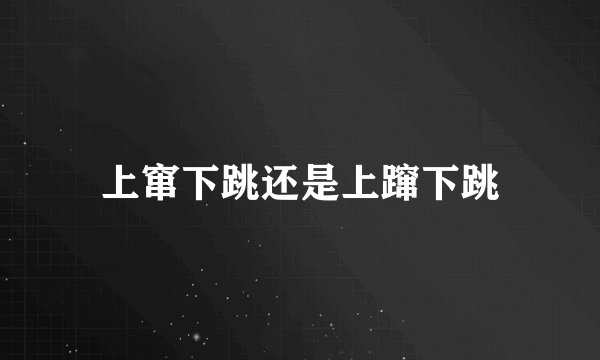 上窜下跳还是上蹿下跳